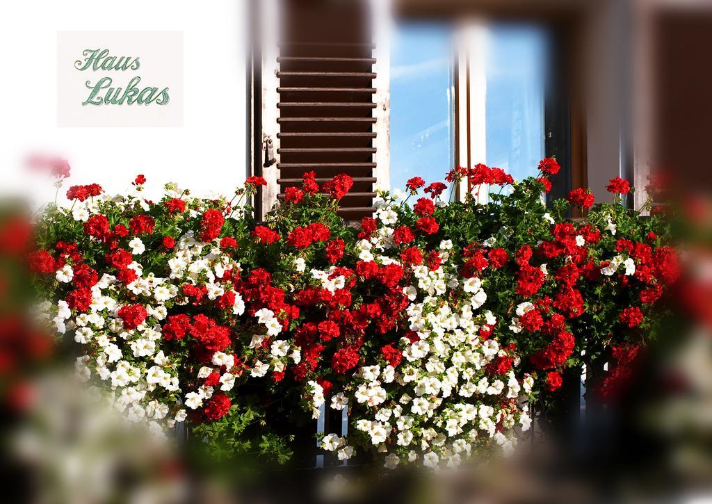 Haus Lukas Bed and Breakfast Ζέεφελντ Εξωτερικό φωτογραφία